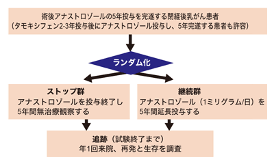図8 アナストロゾール延長投与試験 試験概要