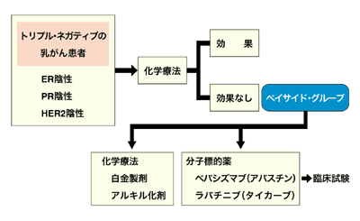 図：トリプル・ネガティブの乳がんに対する術後補助療法