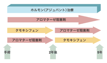 図5 術後ホルモン療法の選択肢