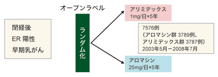 図3 MA・27試験のデザイン