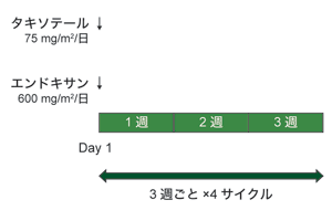 図:TC療法の治療スケジュール