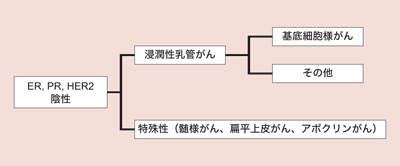図：トリプルネガティブ乳がんの多様性