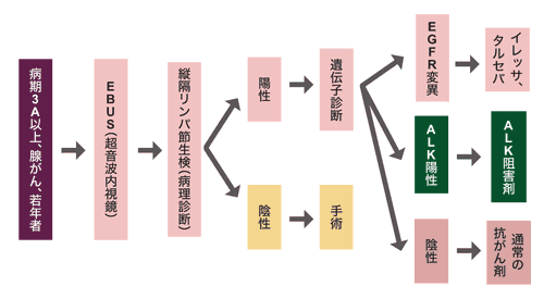 図：今後の治療の流れ