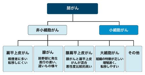 図：がんの種類