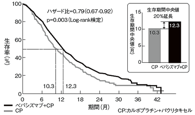 非扁平上皮がんに対するベバシズマブの効果