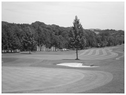 写真：ゴルフ場