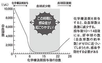 感染症を発症しやすい時期