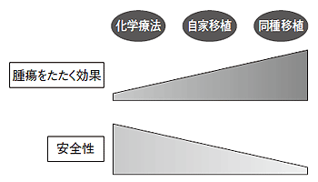 治療ごとの安全性と抗腫瘍効果