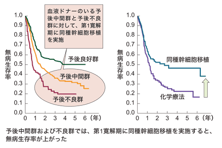 図：再発リスクが高い患者群に対する早期移植の効果