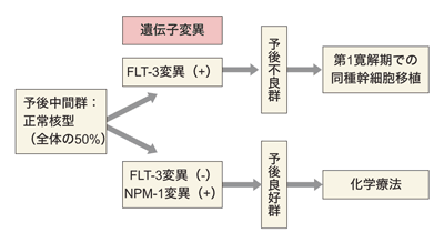 図：遺伝子変異の有無による治療方針（予後中間群、正常核型）
