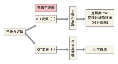 図：遺伝子変異の有無による治療方針（予後良好群）