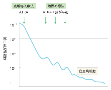 急性前骨髄球性白血病の治療