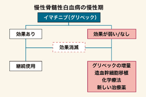 図9 慢性骨髄性白血病の治療手順