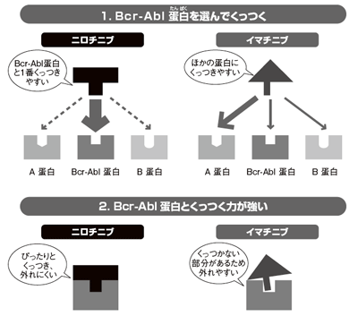 図2 ニロチニブのBcr-Abl蛋白への選択力とブロック力