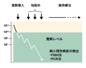 図：化学療法