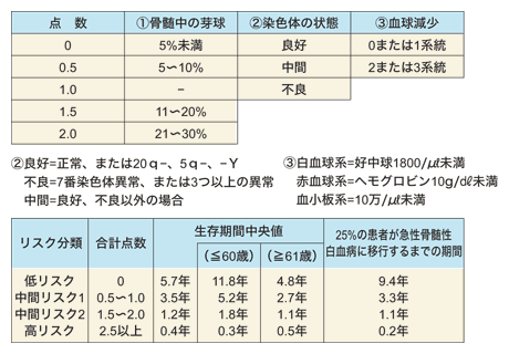 図：IPSSとリスク分類別生存期間