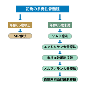 図：多発性骨髄腫の典型的な治療の流れ