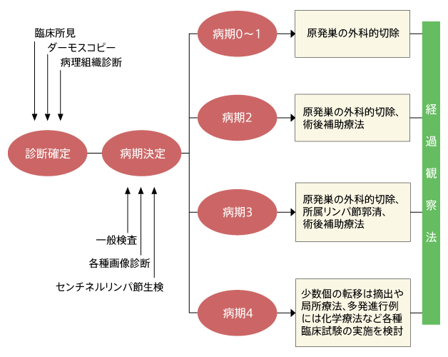 メラノーマの診療ガイドライン（試案）