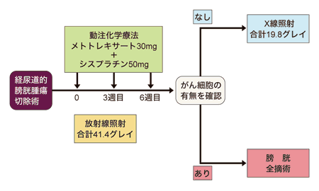 図:膀胱温存療法(筑波大学方式)