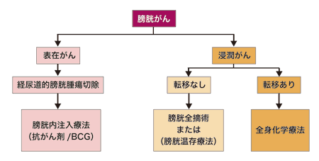 図:膀胱がんの治療方針