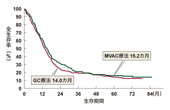 図4 MVAC療法とGC療法の全生存率の比較