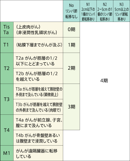 膀胱がんの病期分類