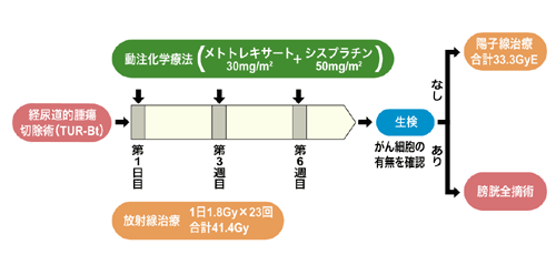 図:膀胱温存の動注化学・放射線療法(筑波方式)