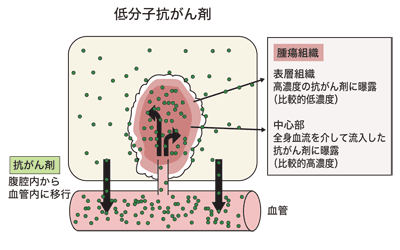 図:低分子抗がん剤の場合