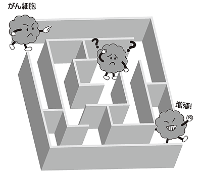図6 がん細胞と薬剤耐性