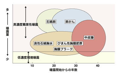 図：アスベストに関連する疾患と曝露量