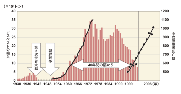 図：アスベスト輸入量と中皮腫死亡数