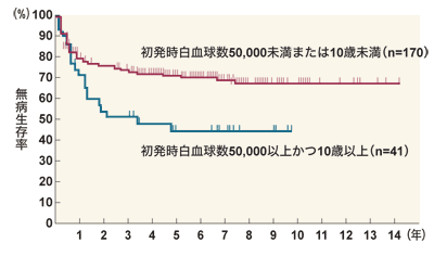 図：日本における小児T細胞性急性リンパ性白血病の初発時年齢/白血球数別の治療成績