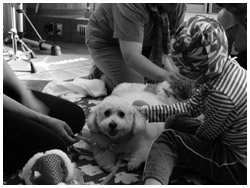 写真：患児が待ちわびる犬と触れ合う時間