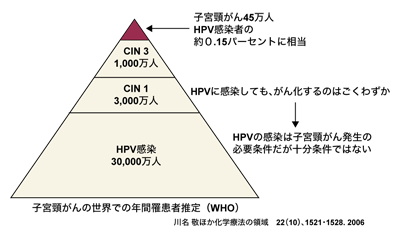 図：HPV感染と子宮頸がん発生の関係