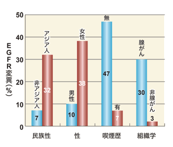 図:民族性、性、喫煙歴、組織学によるEGFR変異の発生