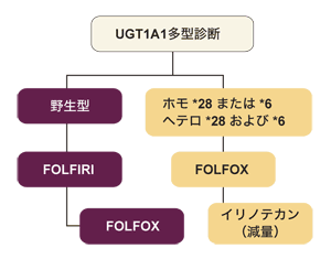 図:転移・再発結腸・直腸がん化学療法の戦略(埼玉医科大学)