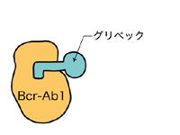 図：突然変異がないとグリベックはBcr-Ab1のポケットに入り結合できる