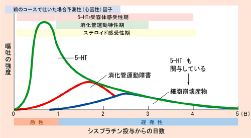 急性・遅発性嘔吐の経過概念図