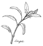 イラスト