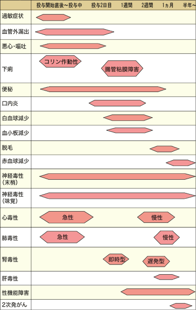 表:副作用の発現時期