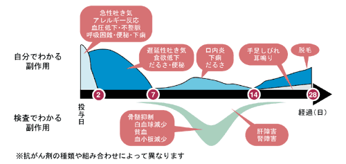 図:抗がん剤による主な副作用の発現時期の1例
