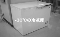 写真:-30℃の冷凍庫
