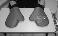 写真:フローズングローブ