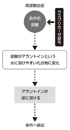 ラスブリカーゼの作用
