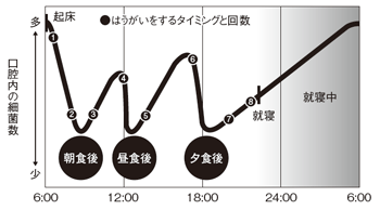 図:口腔内の細菌数の変化とうがいのタイミング