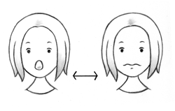 図：顎