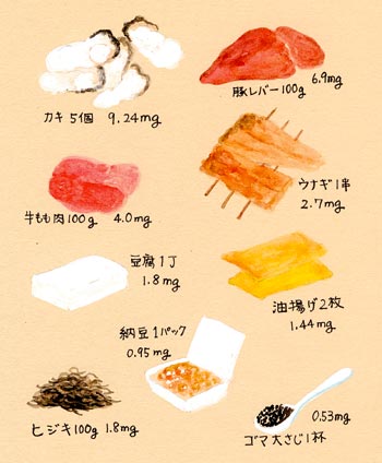 図:亜鉛の豊富な食品