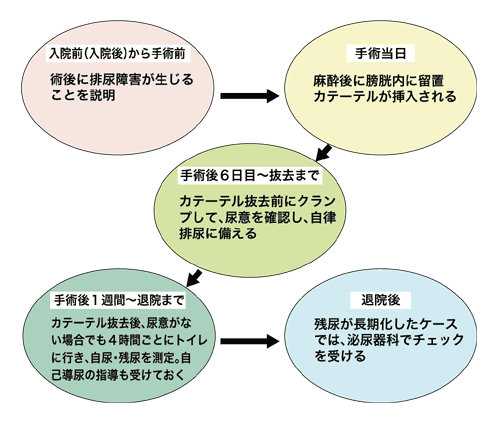 図：排尿に関する手術前後のスケジュール