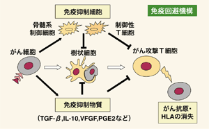 図:免疫回避機構
