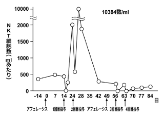 図:体内におけるNKT細胞活性化の推移例